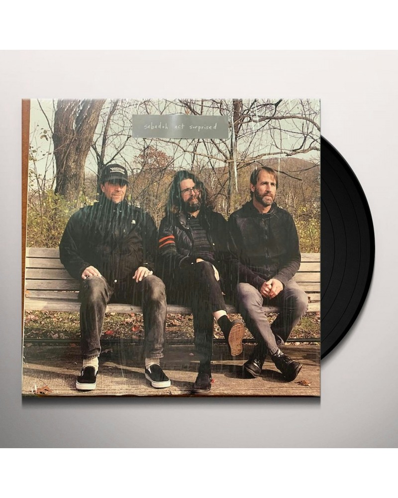 Sebadoh Act Surprised Vinyl Record $9.46 Vinyl