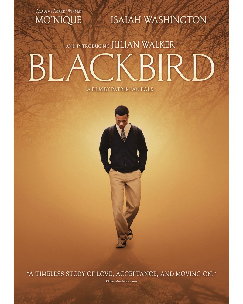 Blackbird DVD $7.09 Videos