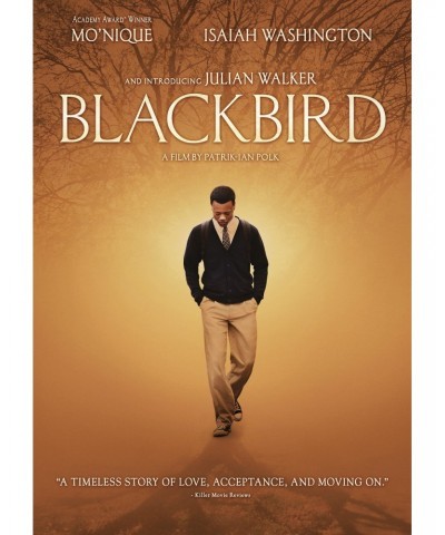 Blackbird DVD $7.09 Videos